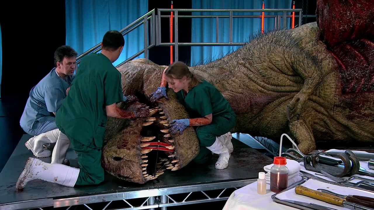 Imagine if the world top scientist carried out an autopsy on a T. rex. What would they find?